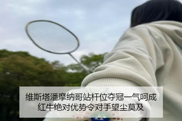 wei-si-ta-pan-mo-na-ge-zhan-gan-wei-duo-guan-yi-qi-he-cheng-hong-niu-jue-dui-you-shi-ling-dui-shou-wang-chen-mo-ji-2-306.jpg